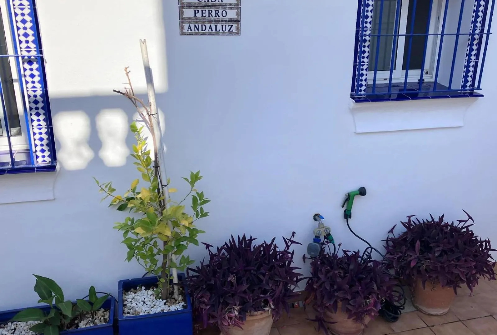 Casa Perro Andaluz Villa Fuengirola Holiday home